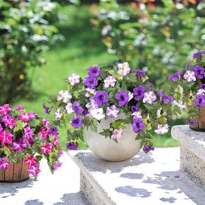 Ammyoo - <span class=keywords><strong>Petunias</strong></span> Artificiales, 2 Piezas, Resistentes a los Rayos UV, No se Decoloran, Resistentes al Agua y a la Intemperie, Realistas, para Interiores y Exteriores, Hogar, Jardín, Balcón - Product Image 4