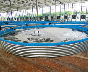 Bâche en PVC pour <span class=keywords><strong>bassin</strong></span> d'aquaculture, réservoir d'élevage de poissons, aquarium, adapté à la pêche et aux fermes, <span class=keywords><strong>bassin</strong></span> de natation 20 000 litres - Product Image 5