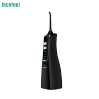 Nettoyeur de dents électrique, appareil domestique pour adulte, personnalisé, haute pression, Jet d'eau, ultrasonique