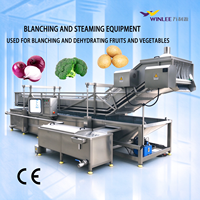 Stoomverwarmingsmachine voor het voorverkoken van groenten en fruit, geschikt voor de verwerking van aardappel, wortel en lotuswortel.