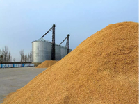 Séchoir à maïs commercial 30-100 tonnes par jour, tour de séchage de céréales pour riz, blé, maïs avec certification CE