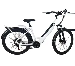 Vélo électrique Vintage e-bike, vtt Ebike, 48V, 500w, 750w, 1000w, Suspension complète, pas cher, chine