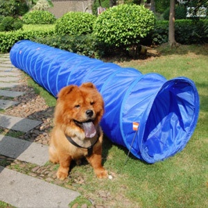 Jouets pour chiens de parc Tunnel d'agilité en PVC Équipement d'entraînement extérieur flexible et étanche pour animaux de compagnie - Product Image 5