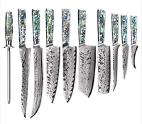 Vente en gros de 67 couches de couteaux de cuisine de chef Santoku en acier damas VG10 pour la sculpture de fruits avec manche en résine et coquille d'ormeau