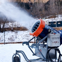 Canon à neige direct d'usine facile à utiliser procédures opérationnelles rationalisées réduire considérablement les coûts de main-d 'œuvre