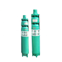 Pompe submersible électrique multi-étages à haut rendement pour l'irrigation agricole et l'alimentation en eau des puits profonds