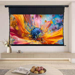 Offre Spéciale achetez <span class=keywords><strong>de</strong></span> l'écran <span class=keywords><strong>de</strong></span> <span class=keywords><strong>projection</strong></span> <span class=keywords><strong>de</strong></span> tension <span class=keywords><strong>de</strong></span> l'onglet motorisé <span class=keywords><strong>de</strong></span> haute qualité - Product Image 6