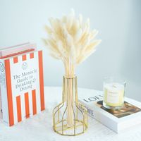 Herbe de Lapin Séchée Naturelle Lagurus, Fleurs Moelleuses pour Décoration Maison, Bouquet de Mariage, Arrangement Bohème Nordique, Fête des Mères, OEM