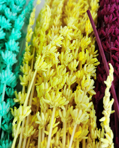 <span class=keywords><strong>Fleurs</strong></span> fraîches naturelles <span class=keywords><strong>immortelles</strong></span> conservées, bouquets de lavande sèche, fleur de lavande séchée pour bouquet de <span class=keywords><strong>fleurs</strong></span> diy, décoration d'événements pour la maison - Product Image 6
