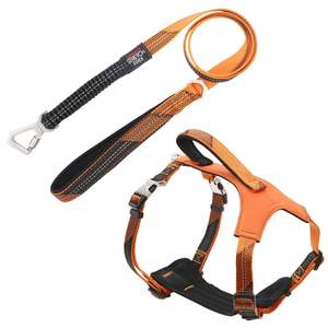 DB Pet Life 'Geo-prene' 2-en-1 Collier de dressage réfléchissant pour chien Absorbant les chocs Néoprène Harnais rembourré Laisse Fabriqué en PC - Product Image 1