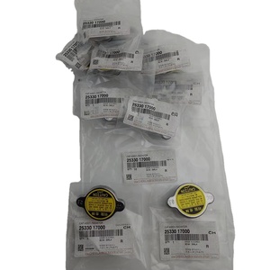 Cubiertas de radiador de alta calidad al por mayor 25330-17000 2533017000 para EQUUS/CENTENNIAL 25330 17000 - Product Image 6