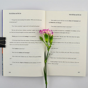 Autentico Romanzo '<span class=keywords><strong>Il</strong></span> <span class=keywords><strong>Vecchio</strong></span> <span class=keywords><strong>e</strong></span> <span class=keywords><strong>il</strong></span> <span class=keywords><strong>Mare</strong></span>' di Ernest Hemingway, Versione Inglese Completa <span class=keywords><strong>e</strong></span> Non Ridotta, Bestseller per Scuole Medie <span class=keywords><strong>e</strong></span> Superiori - Product Image 4