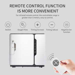 10L 5L 3L Mini Draagbare Mobiele Zuurstofconcentrator 90%-96% Zuiverheid 110V/220V CE Gecertificeerd Yuwell 300 - Product Image 5