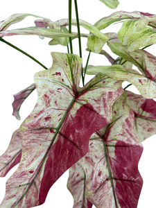 Planta Artificial de Caladium de la Marca TREESMAS de 65x70 cm con 18 Cabezas Rojas, Vegetación Artificial de Plástico para Uso en Interiores/Exteriores - Product Image 5