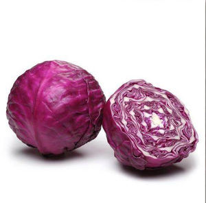 Polvere di Cavolo Viola Selvatico Naturale, Polveri di Cavolo e Kale Viola, Grado Alimentare, Ricche di Vitamine - Product Image 3