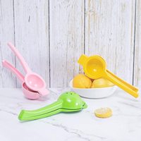 Professionele Handmatige Citroenpers Fruit-En Groentesnijder En Sappersgereedschap