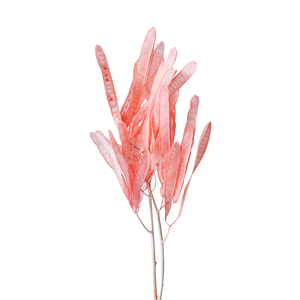 ดอกไม้<span class=keywords><strong>ลาบ</strong></span><span class=keywords><strong>ลาบ</strong></span>์อบแห้งแบบถาวร ทำมือ DIY ตกแต่งห้องรับปริญญา ใช้งานได้นาน 3-5 ปี จากโรงงานยูนนานโดยตรง - Product Image 1