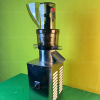 Presse-agrumes commercial puissant à vitesse lente pour fruits et légumes, carotte, jus de gingembre, presse-agrumes à froid en acier inoxydable pour pomme