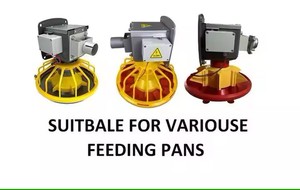 Hiện đại Gà Thịt trang trại chăn nuôi gia cầm nông nghiệp thiết bị chăn nuôi gia cầm tự động hệ thống cho ăn - Product Image 4