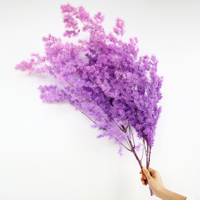 LUYI - Vente en gros de fleurs et plantes naturelles préservées à longue durée de vie, immortelles, avec tige, fougère Ming préservée pour arrangement