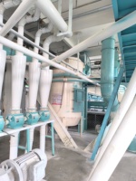 Moulin à farine de blé automatique à moteur, petite taille, 380V, broyeur efficace et durable pour le traitement des céréales en petite exploitation agricole commerciale