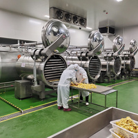 Automatische groentepuffmachine, appelchips- en fruit-vacuümdrukverschil-puffmachine