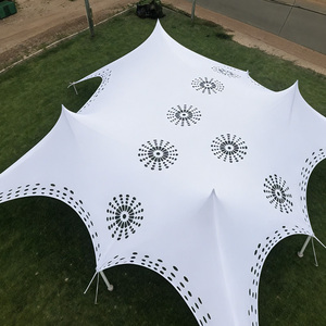 Carpa de <span class=keywords><strong>queso</strong></span> tipo túnel hueca de poliéster anti-UV para eventos al aire libre en las cuatro estaciones, con tamaños y colores personalizables - Product Image 4