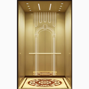 Japonya katılmak-iyi fiyata yolcu 630kg/800kg FUJI asansör için girişim FUJI asansör - Product Image 3