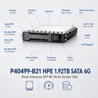 P40499-B21 1.92 To SATA 6G RI SFF BC Multi Vendor Internal New Enterprise Server SSD