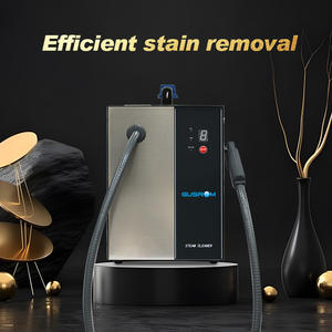 Prezzo basso vendita caldo dentale pulitore a vapore elettrico alimentato laboratorio dispositivo di pulizia per cliniche e laboratori - Product Image 6