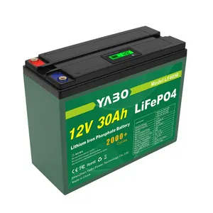 Batterie LED, LiFePO4, 12V, 30ah, Rechargeable, longue autonomie, pour système de stockage d'énergie solaire