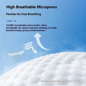 ידידותי לסביבה כלבים חד פעמיים חיתולים נשיפה מחמד פיסיולוגיים מכנסיי - Product Image 4