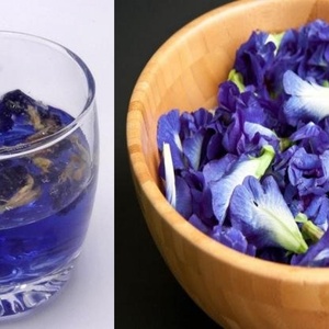 Polvo Orgánico de Flor de Guisante Mariposa Azul Matcha, Grado Alimenticio, Extracto de Hierbas, Certificado Halal, Venta al por Mayor, Envase en Botella de Malla y Tambor - Product Image 3