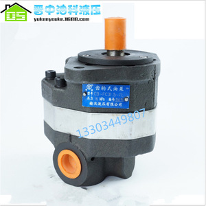 Pompe à engrenages hydraulique CB-FC25-FL 250 bars, 1 étage, montage à bride, pour pipeline, entraînement électrique externe - Product Image 3