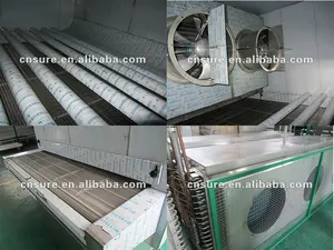 Quick Freezing Small Freezer Tunnel For Food Processing Machine Stainless Steel Belt IQF Tunnel Freezer