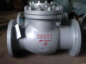 Dọc ngang nước Swing loại wcb đúc mặt bích không trở lại class600 kiểm tra van - Product Image 4