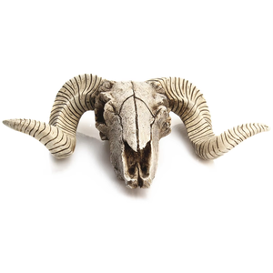 Rétro tête <span class=keywords><strong>de</strong></span> mouton crâne SKE20 <span class=keywords><strong>tenture</strong></span> murale résine artisanat modèle Animal décoration <span class=keywords><strong>de</strong></span> noël artistique maison Festival cadeaux - Product Image 6