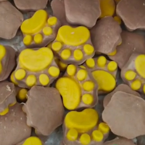 Brosse pour gants <span class=keywords><strong>de</strong></span> toilettage pour chat, enlever la <span class=keywords><strong>chair</strong></span> <span class=keywords><strong>et</strong></span> le <span class=keywords><strong>sang</strong></span> tout en coupant les ongles envahis par la végétation - Product Image 4