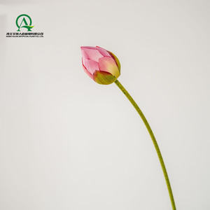 Set di stelo di fiori di loto con <span class=keywords><strong>fiore</strong></span> di loto e ninfea per matrimonio con fiori lunghi stelo loto Bouquet da sposa per decorazioni da giardino per feste - Product Image 4