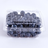 Boîte plastique perforée en plastique PET 125G,  emballage de fruits frais, boîte en plastique avec trous