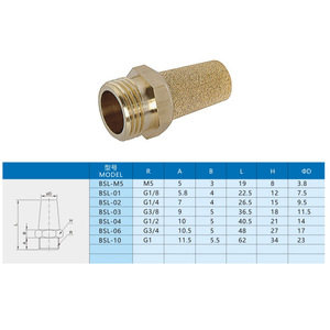 ตัวเก็บเสียงลม Xingyi Technology รุ่น BSL-M5 G1/8 ทองแดง วาล์วลดเสียงรบกวน อุปกรณ์เสริม - Product Image 1