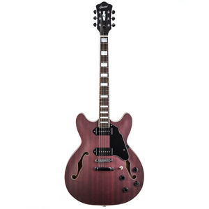 <span class=keywords><strong>Guitare</strong></span> électrique semi-acoustique de qualité professionnelle GT335-04, micros P90, 22 frettes - Product Image 2