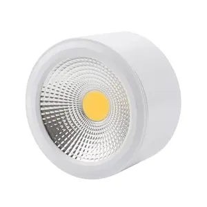 Lampu Dinding 9W Permukaan Terpasang Downlight Dalam Ruangan untuk Ruang Tamu Lorong Lampu Sorot Koridor Langit-langit 3000K 6000K Putih Hangat