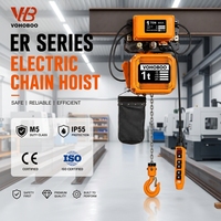 Palans électriques à chaîne industriels CE IP55 380V 1T 2T 3T 5T Type ER 380V 220V pour atelier, usine OEM