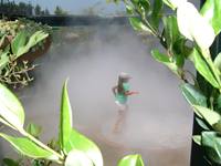 Système de brumisation humidifiante pour piscine privée, pompe haute pression, machine à brouillard en acier inoxydable 304 avec 1000 PSI