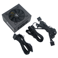 Greenleaf SFX500W seri SFX500W 600W 700W 80 Plus Emas aktif PFC Mini ITX Modular penuh PC catu daya untuk Server stok Desktop
