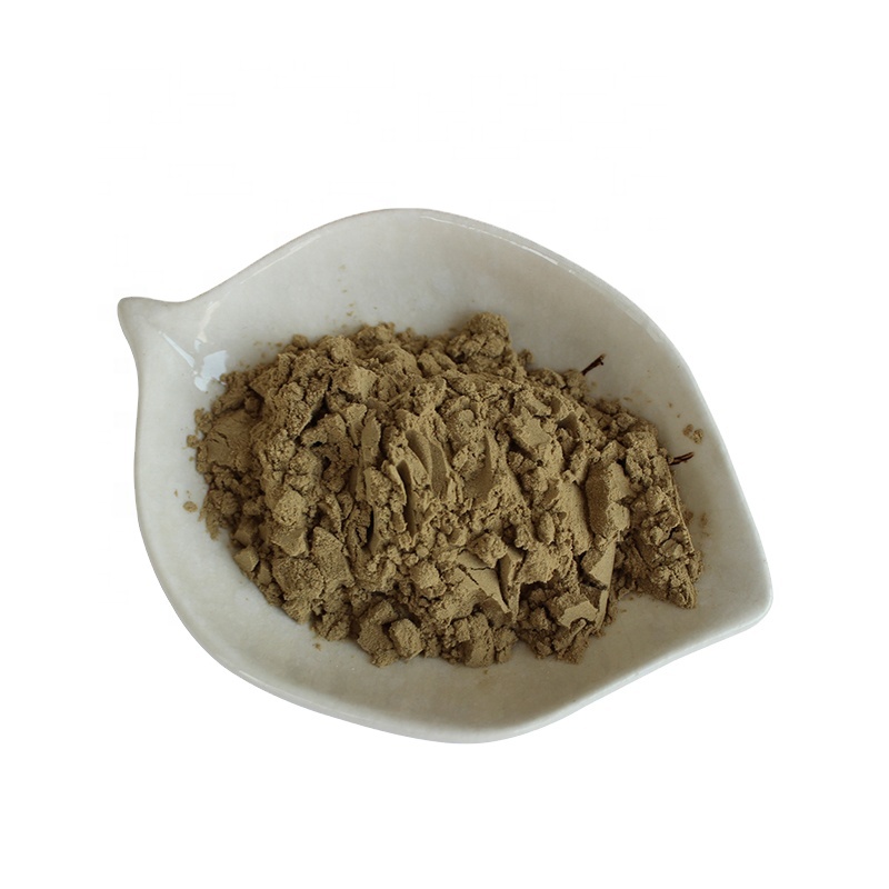 Maitake,Chaga, Cordyceps,Ganoderma Reishi, порошок органического грибного экстракта льва