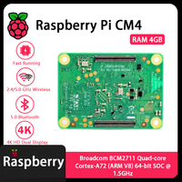 Module informatique Raspberry Pi CM4 4 Go de RAM CM4104000 CM4104008 CM4104016 CM4104032 CM4004000 CM4004008 CM4004016 CM4004032 Variantes