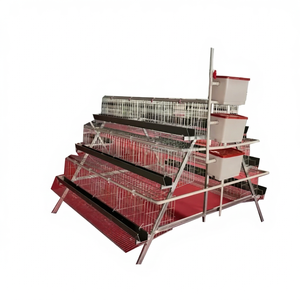 High output A-type 3 tier 120 bird layer chicken cage <b>set</b> with egg saver tray and auto feeding hopper for open house farm system - Product Image 1
