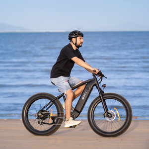 Meilleur vélo de route 26 pouces 750W 48V avec fourche en aluminium, nouvelle tendance, vélo électrique à pneus larges pour adultes, Mountain King750, vélo de route King750 - Product Image 2